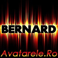 Poze Bernard