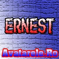Poze Ernest